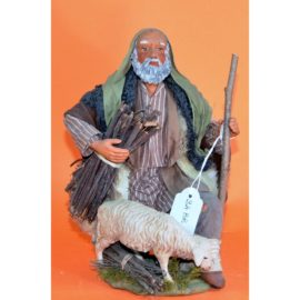 Uomo in ginocchio con pecora